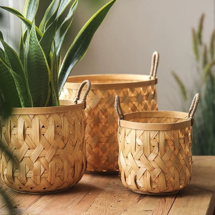 Bamboo Products - Eco-friendly bamboo solutions for sustainable living